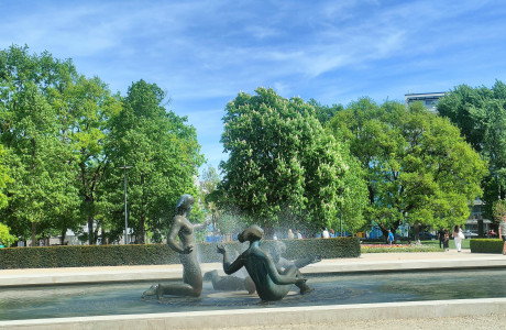 Foto: archív NT n.o.