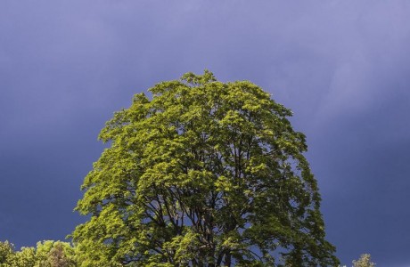 Autor fotografie: Vlado Eliáš