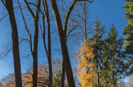 Autor fotografie: Vlado Eliáš